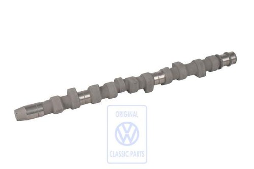 D9E875DA548EF411_001.jpg