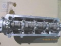 D9E875D3CADF4010_001.jpg